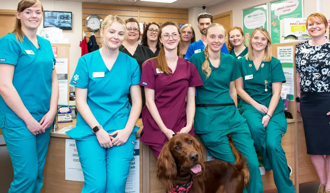 Team photo with brown dog