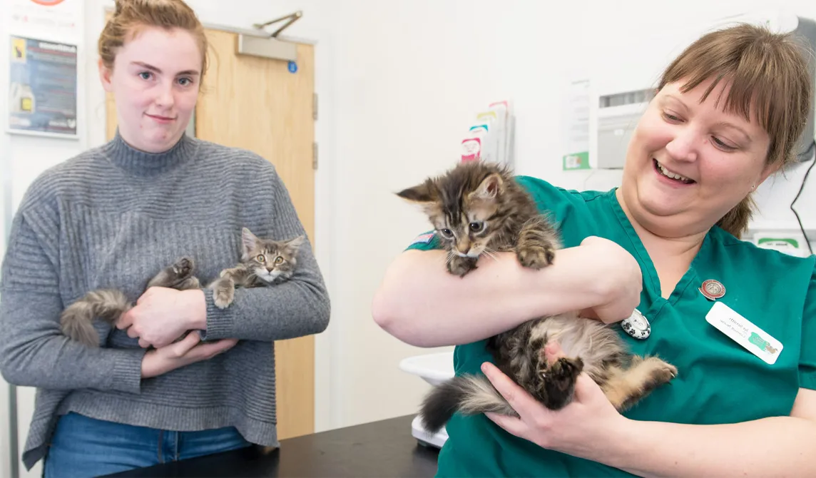 Vet staff with kittens