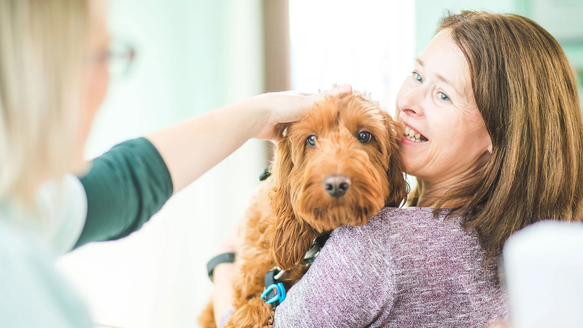 client and vet in waiting room