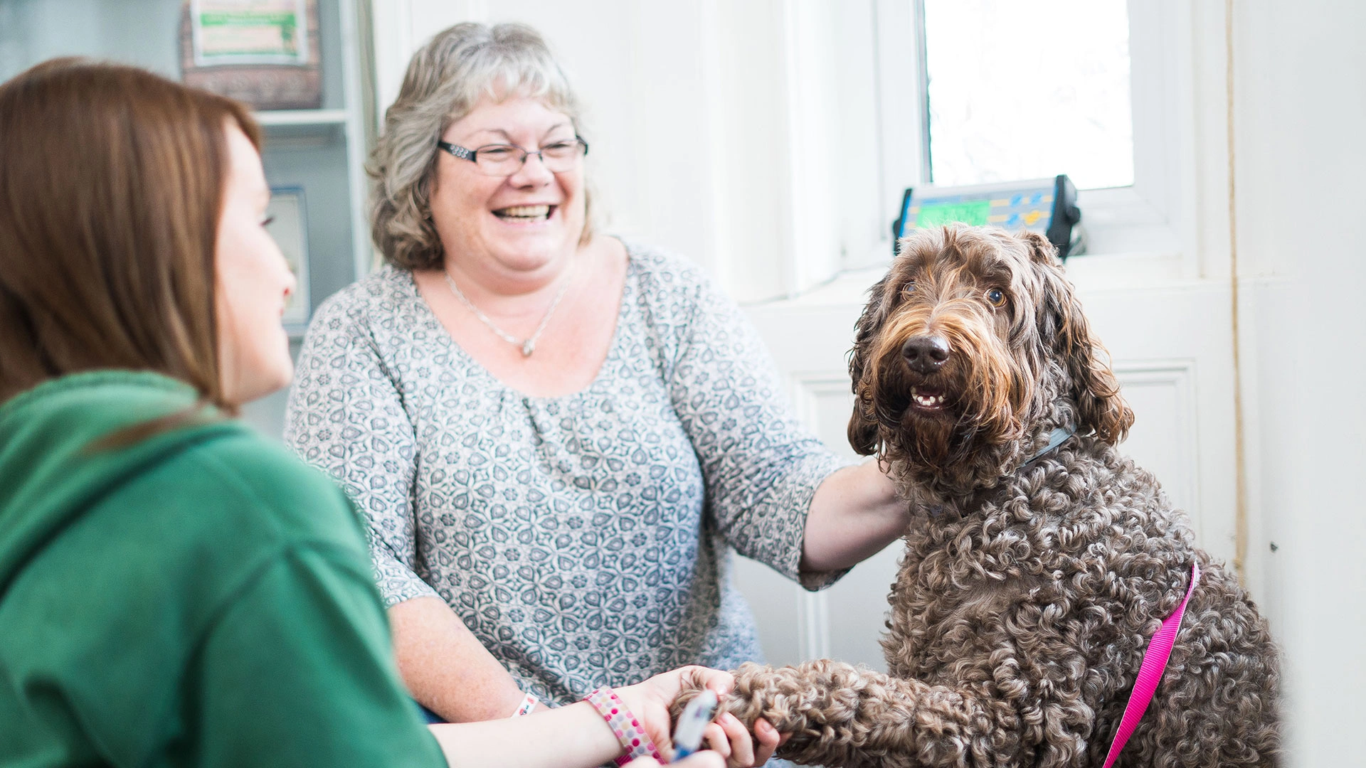 Brown dog giving nurse a paw