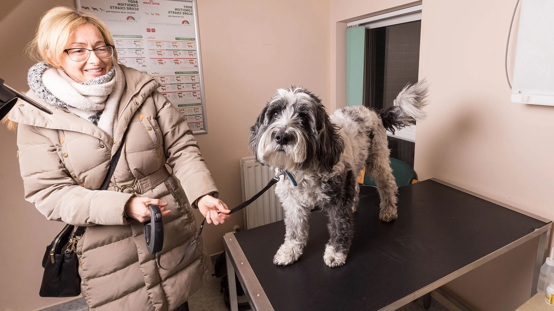 dog with owner waiting patiently on a table