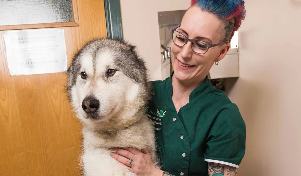 nurse cuddling a husky dog