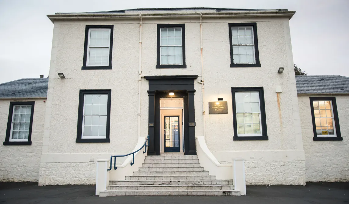 irvine vets practice exterior