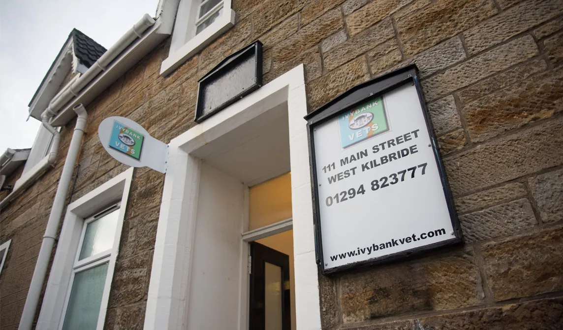 ivybank vets west kilbride practice sign