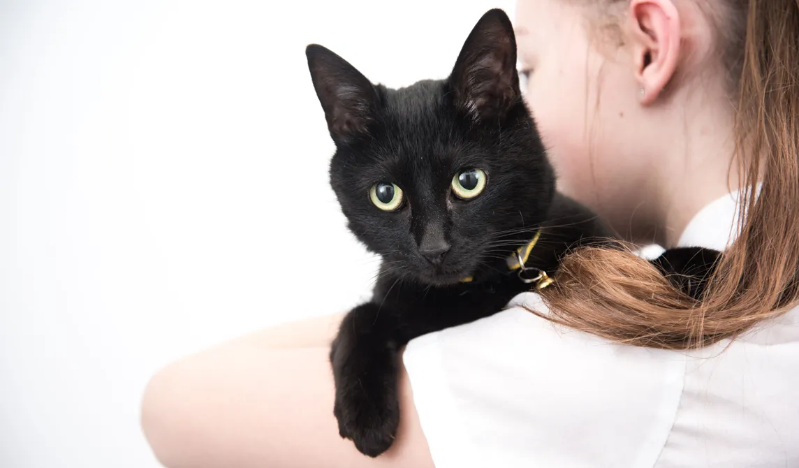 lady holding black cat with green eyes