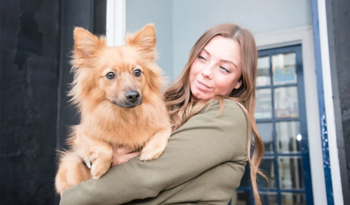 owner holding small brown dog