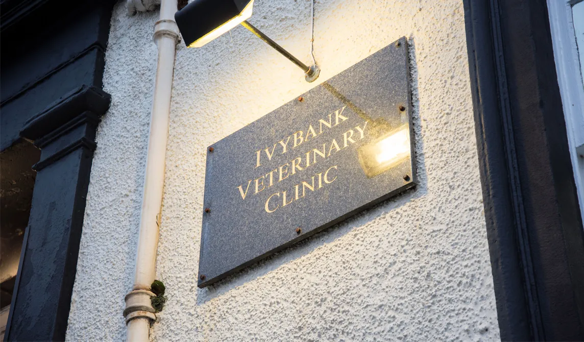 veterinary practice exterior sign