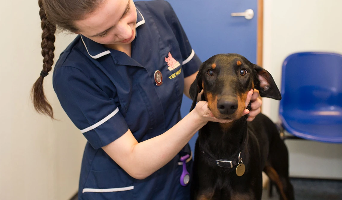 waiting room visitor