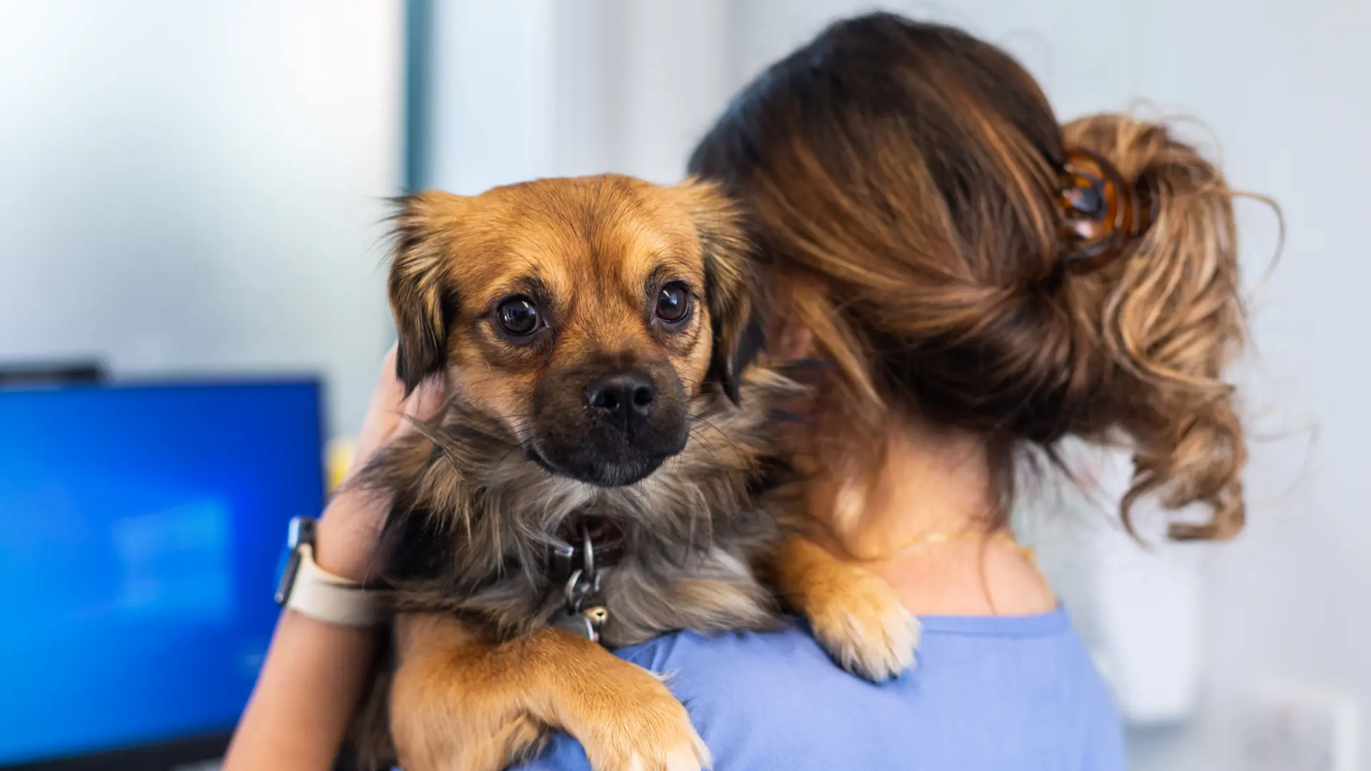 dog on nurse shoulder