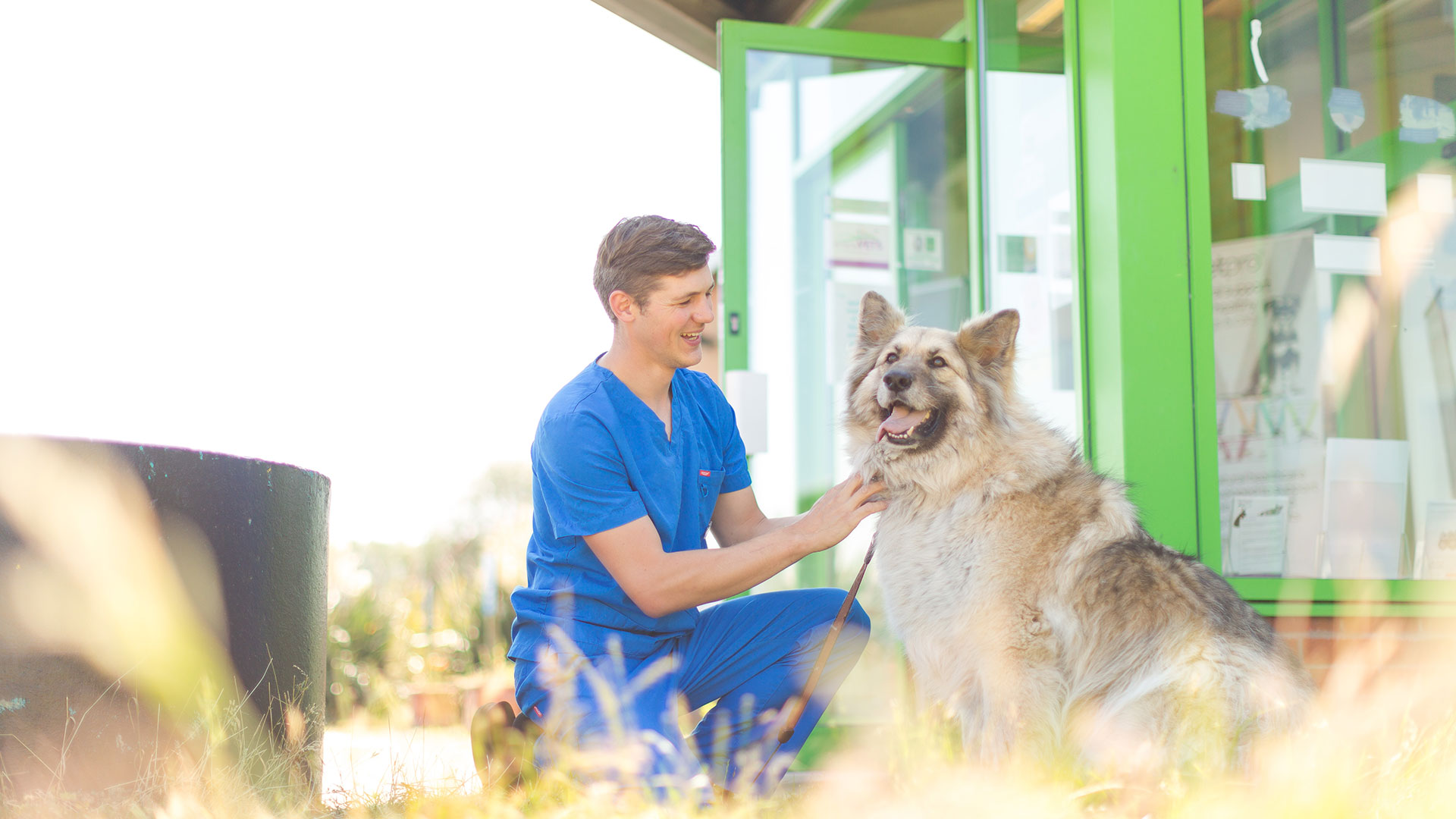 Large fluffy dog outside the clinic