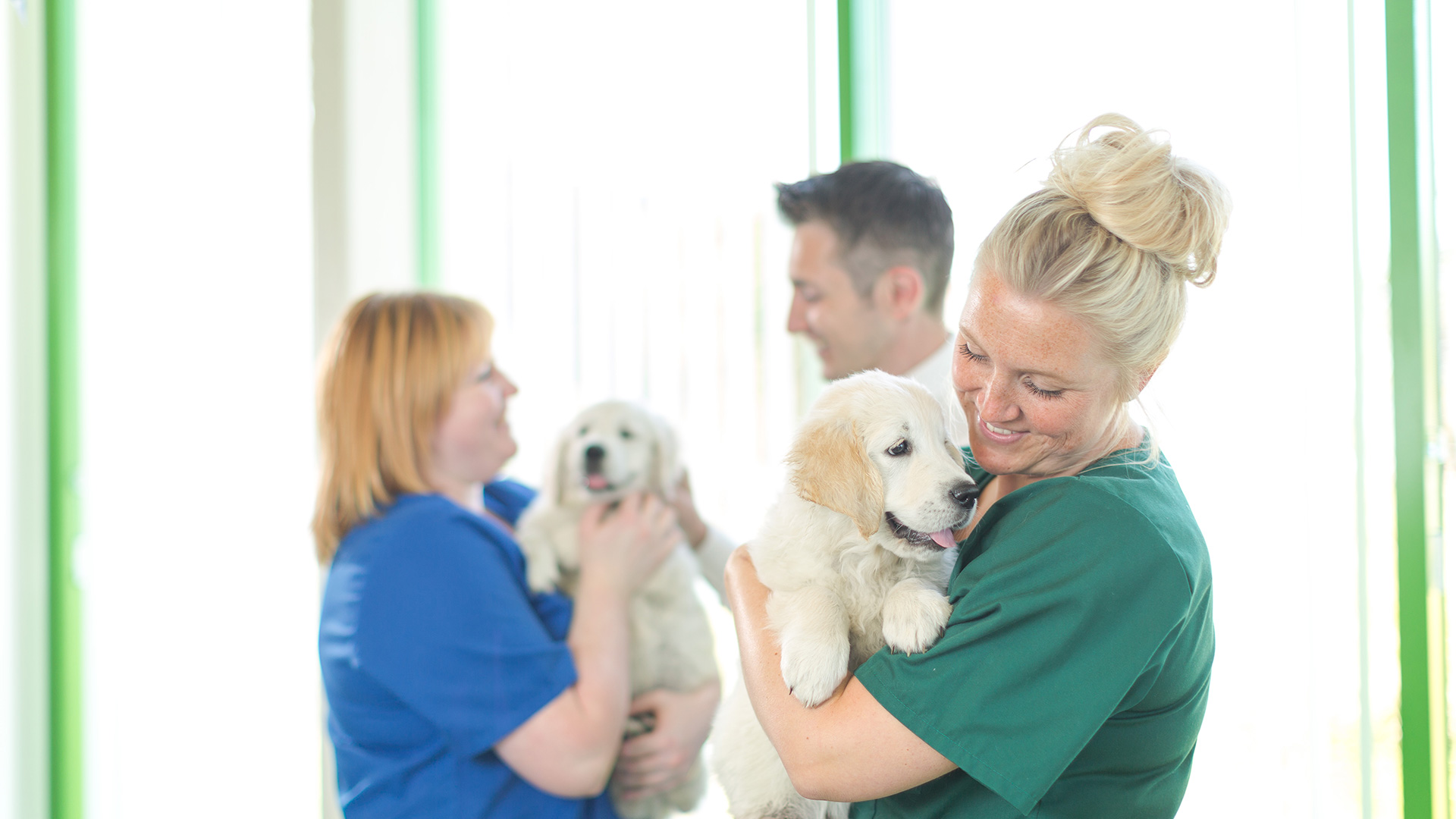 Staff holding puppies