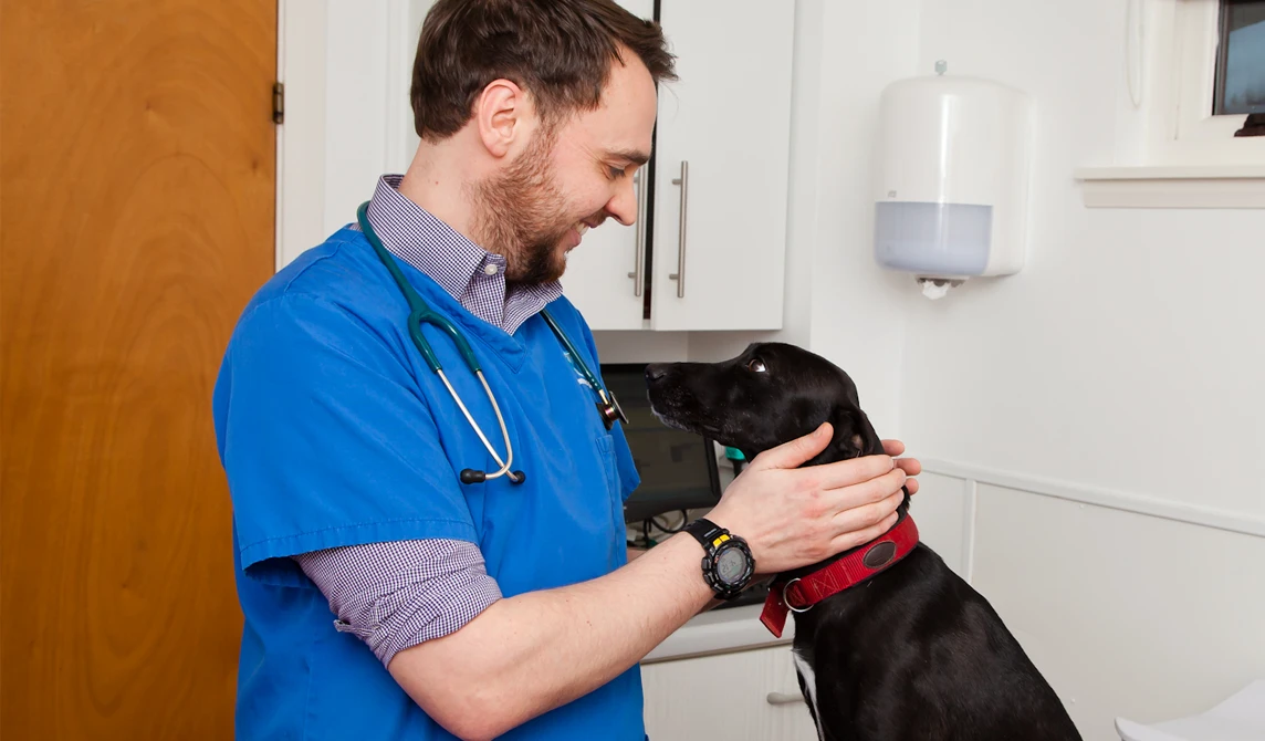 vet holding and smiling at black dog