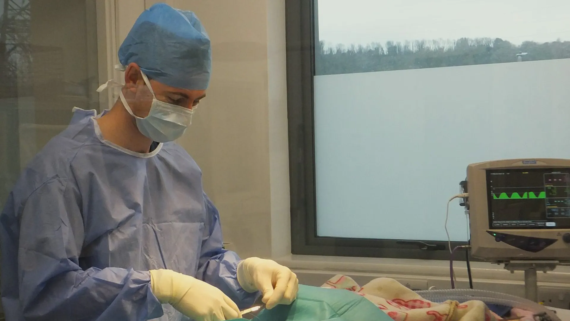 vet conducting surgery