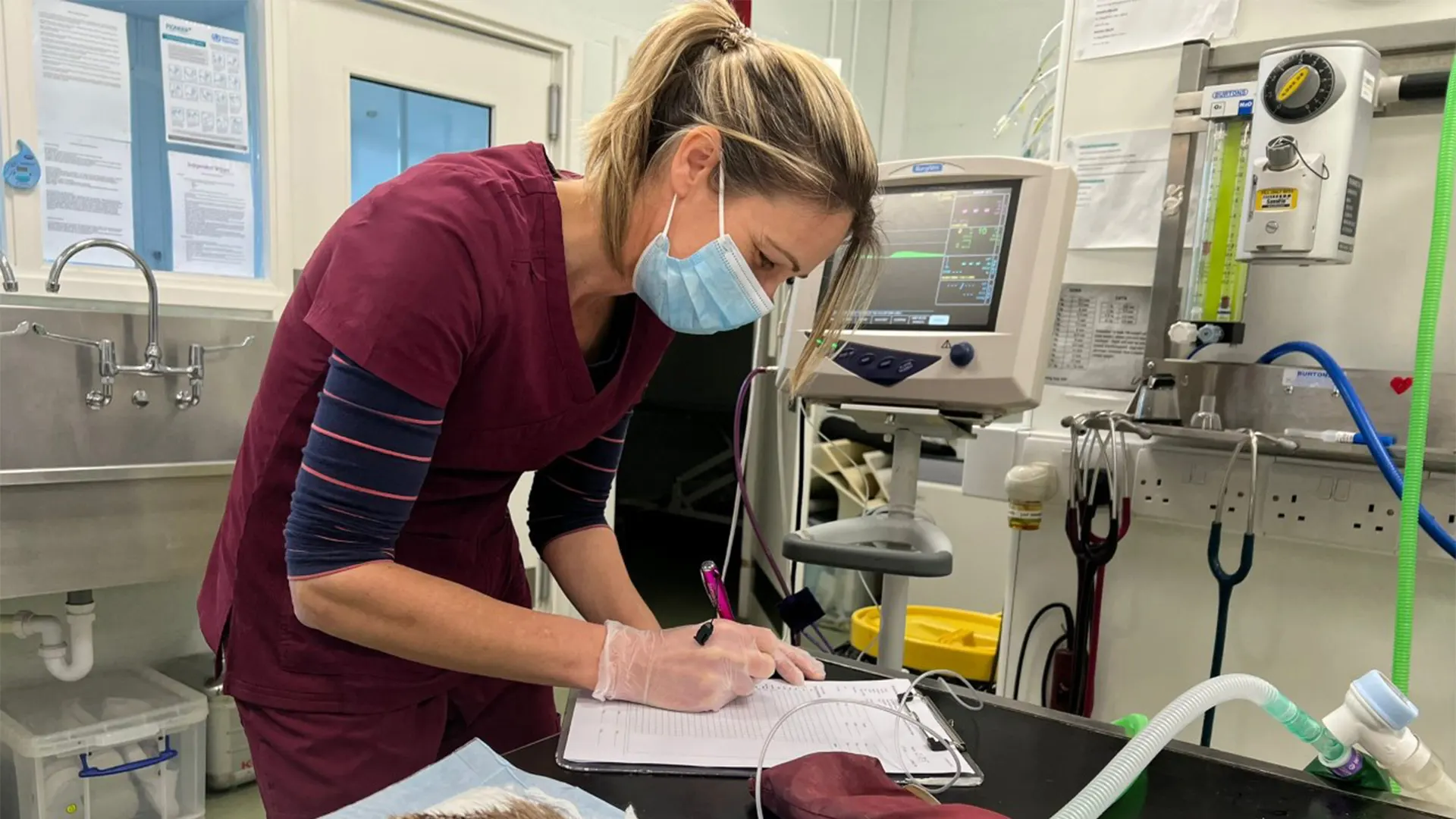 vet taking notes
