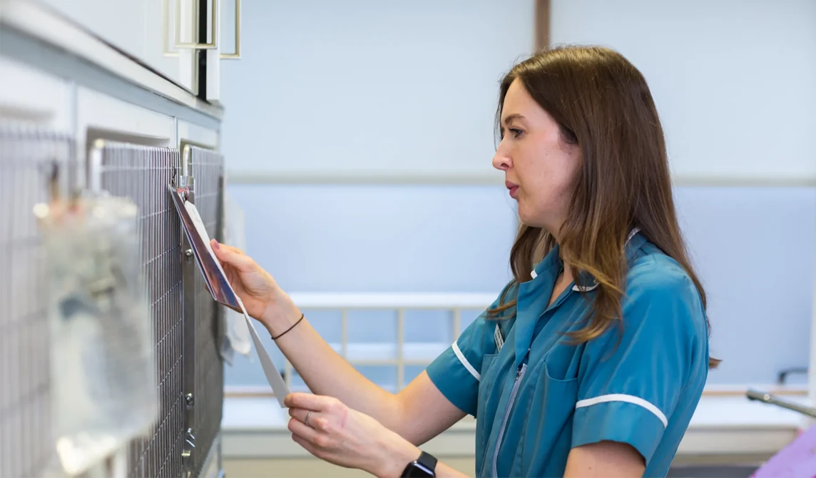 vet nurse reading notes