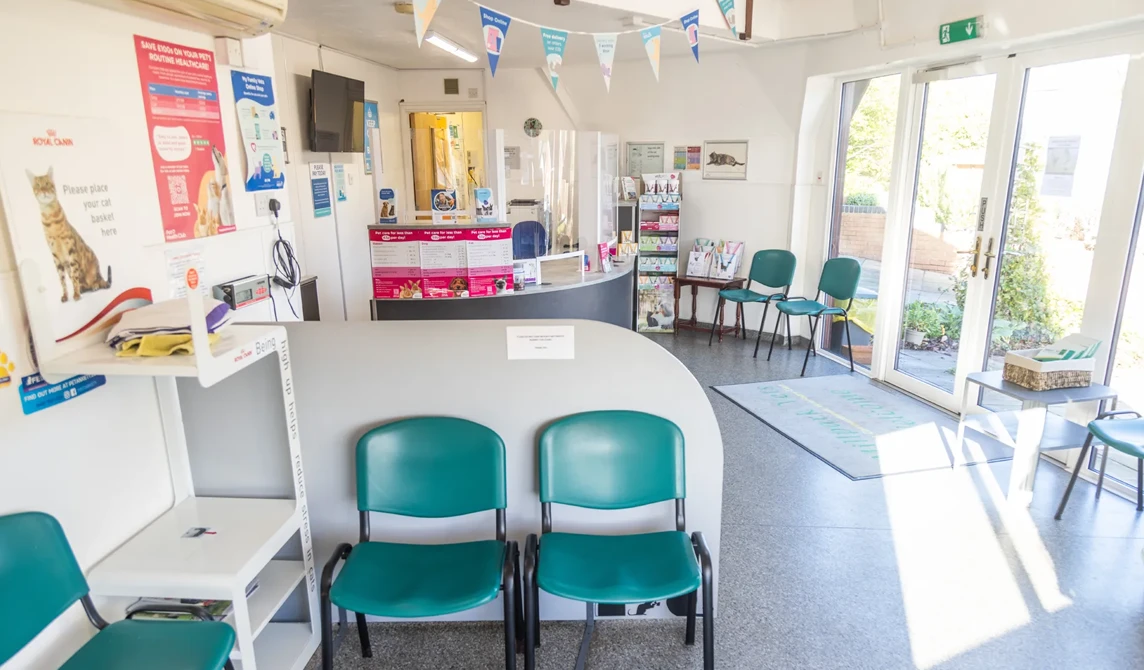 vets reception area