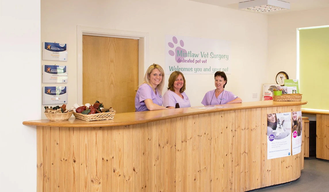veterinary reception team