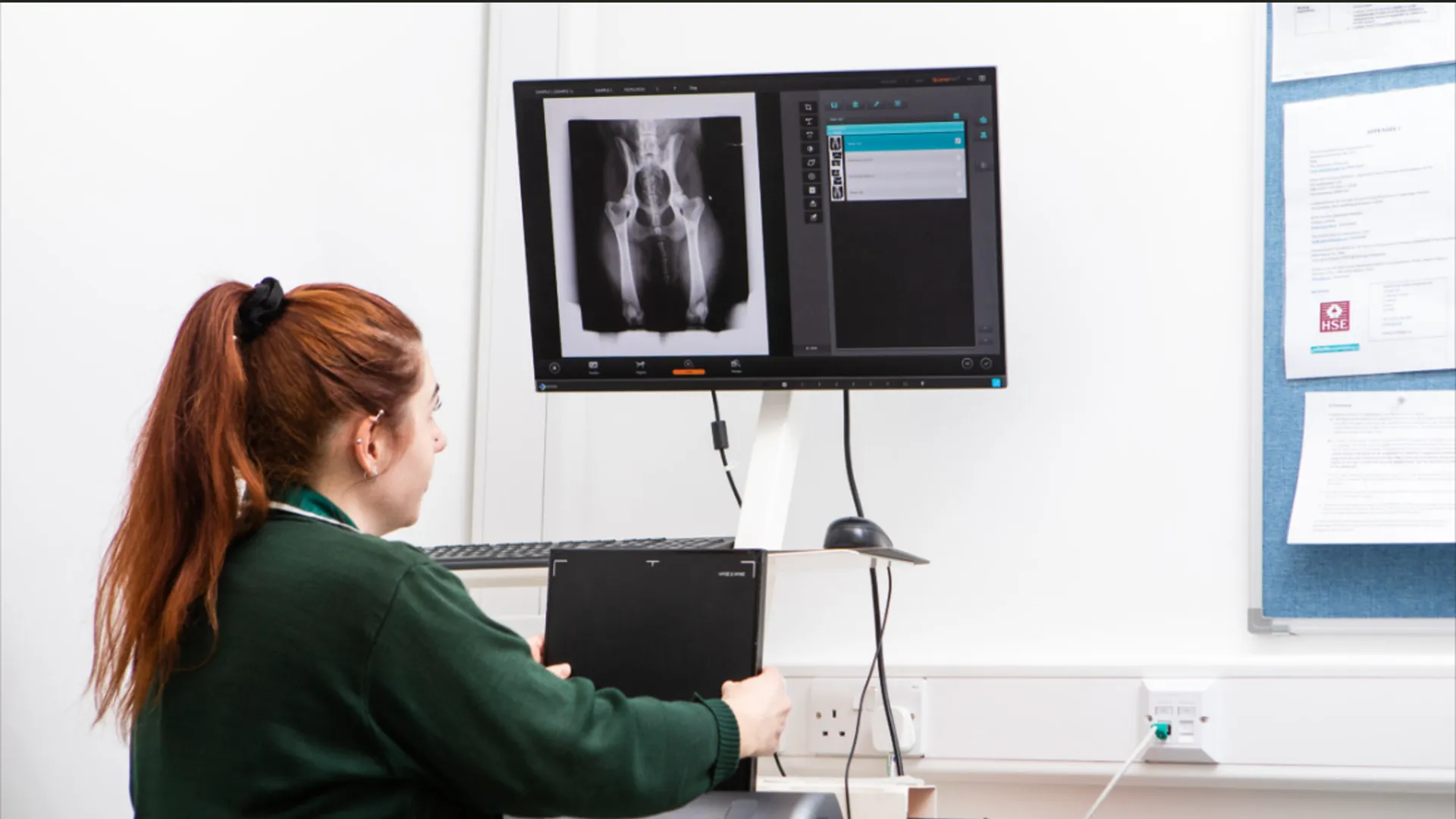 vet analysing diagnostic imaging