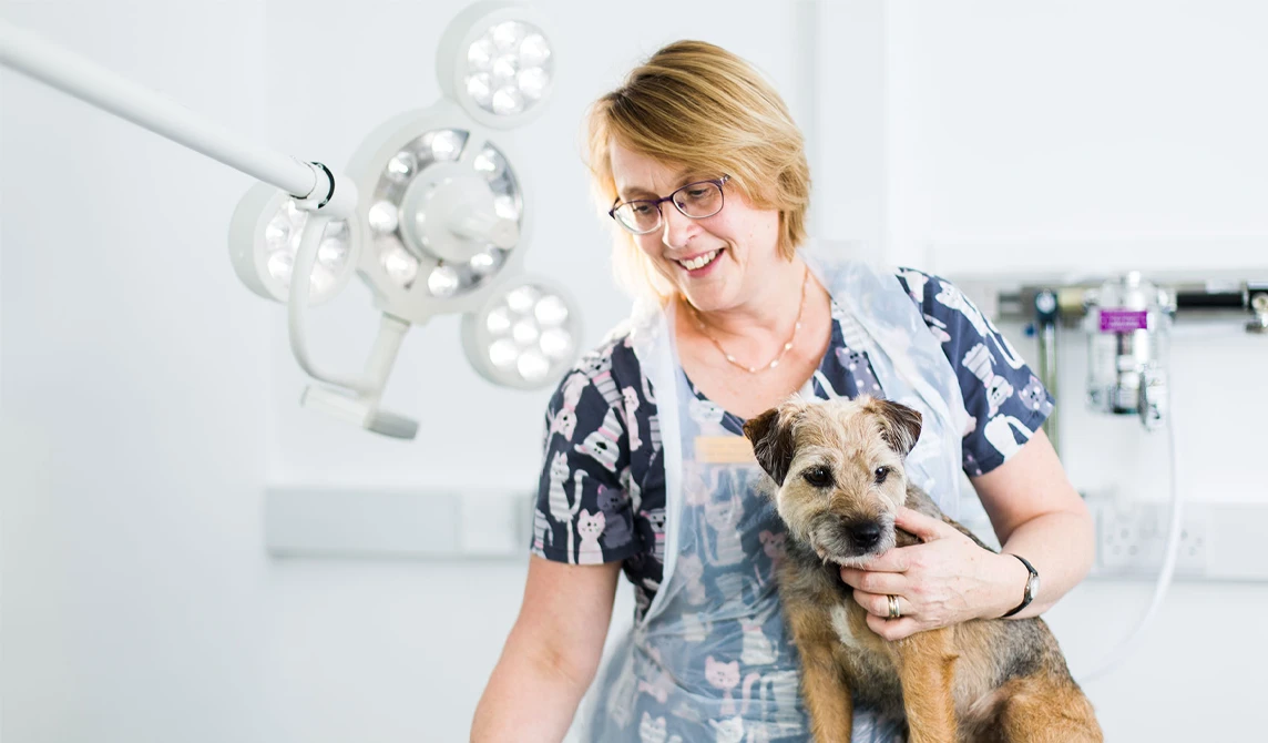 Vet holding small dog