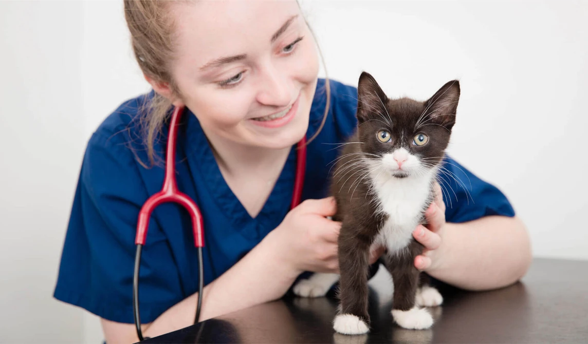 vet nurse with black and white kitten