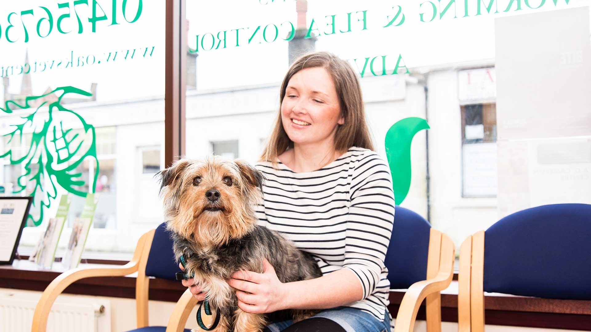 Dog on owners lap in reception