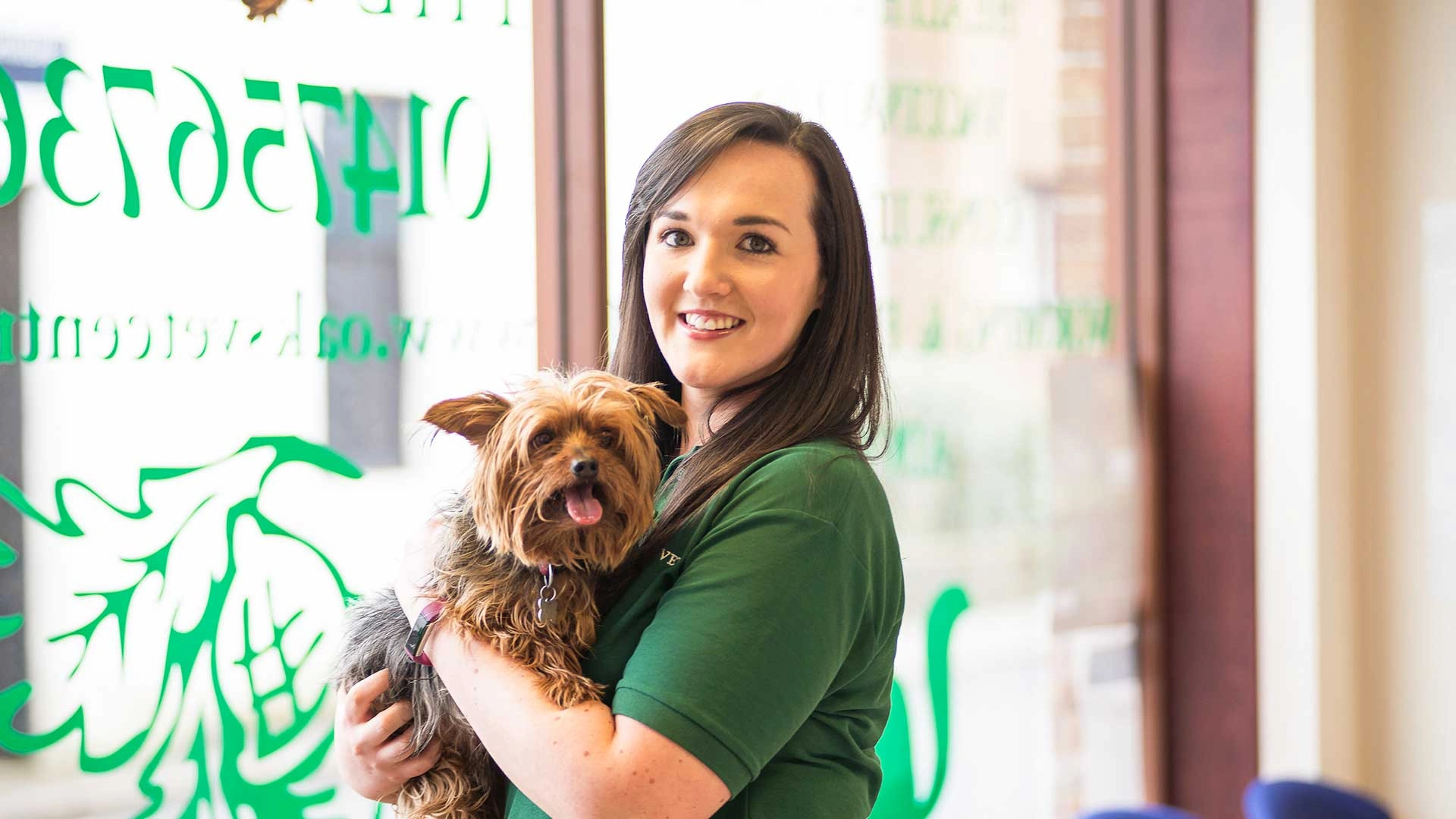 Staff holding brown fluffy dog in reception