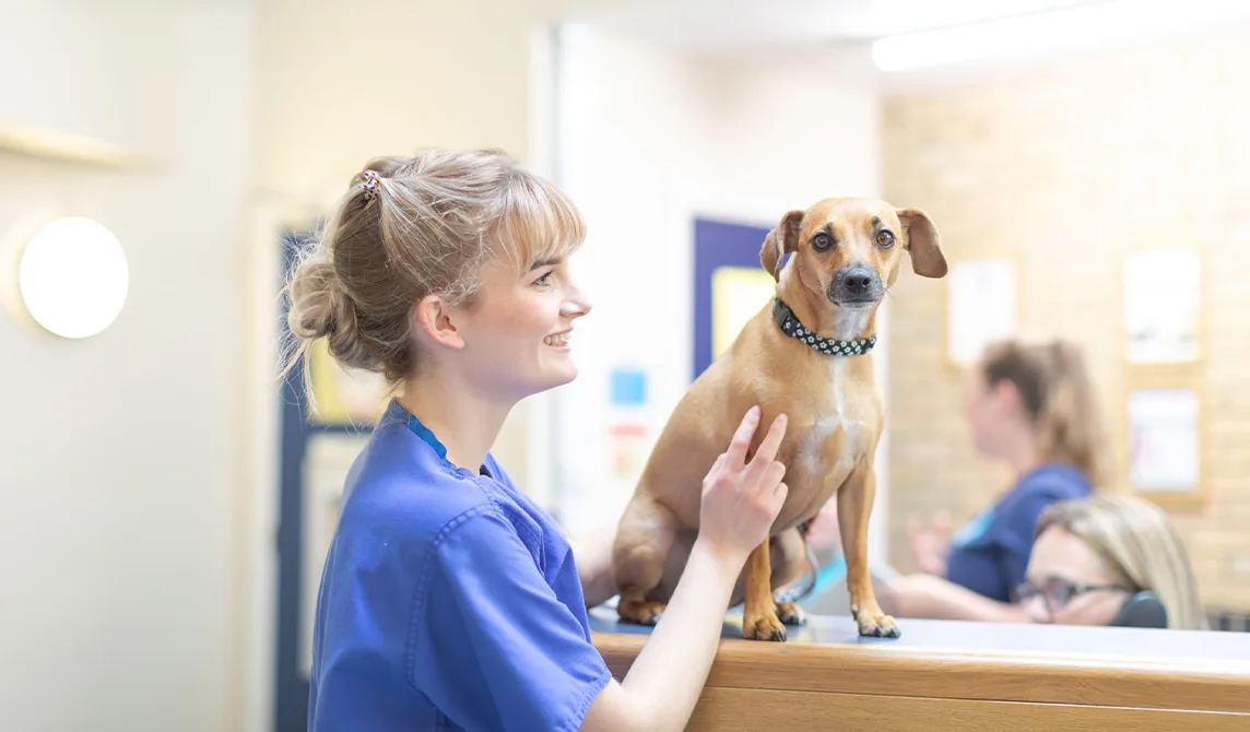 dog ans nurse at the reception