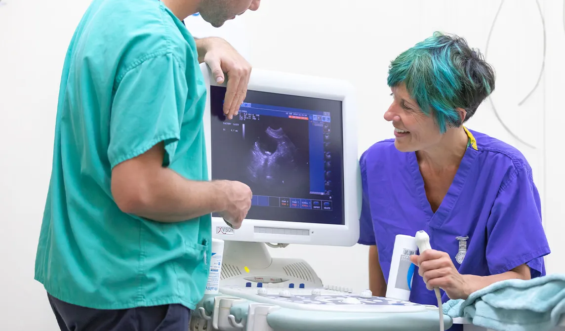 staff preparing ultrasound exam