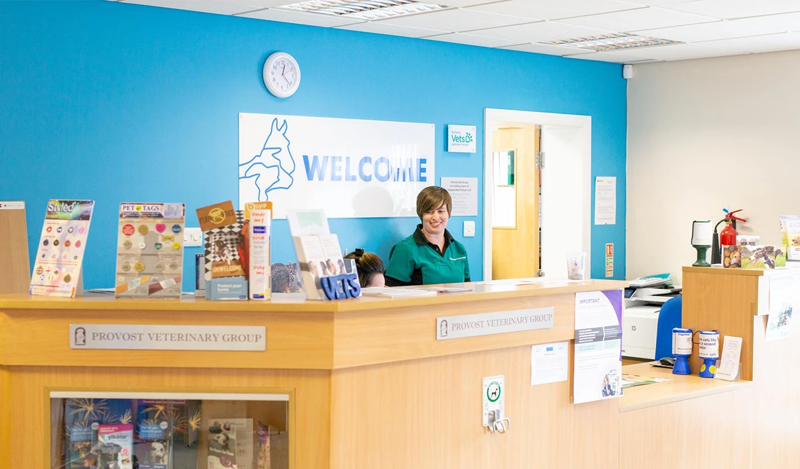 veterinary reception waiting area