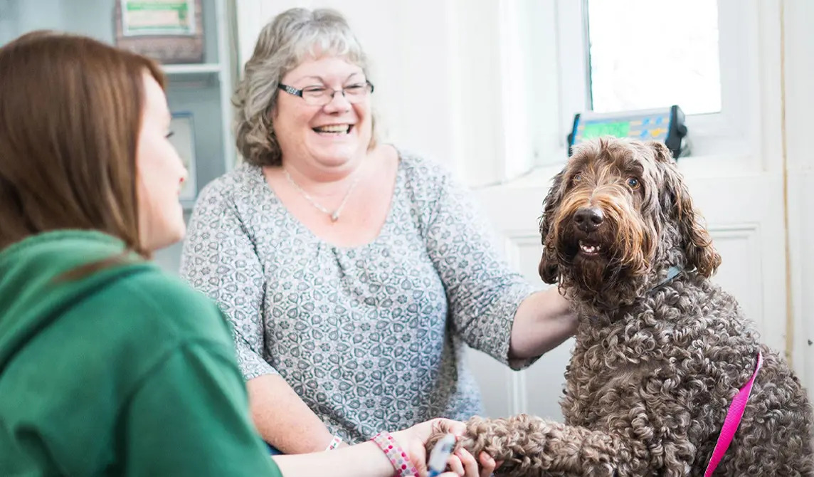 Brown curly haired dog giving their paw to veterinary nurse
