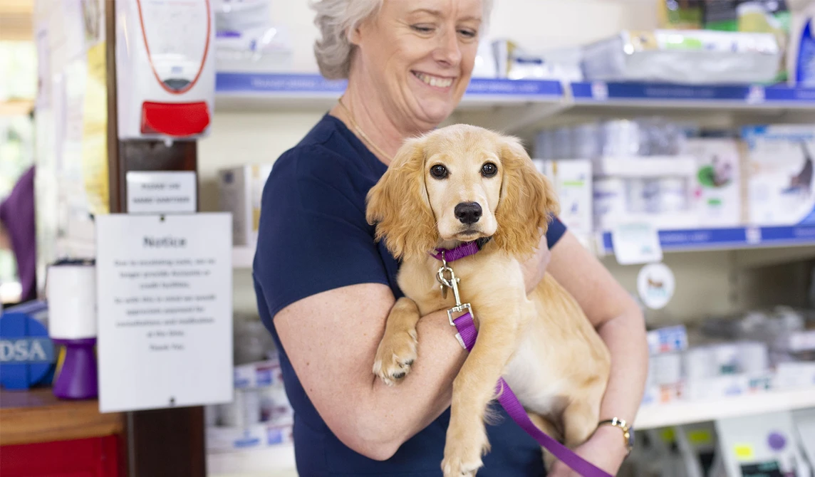 lady holding beige dog wearing purple lead