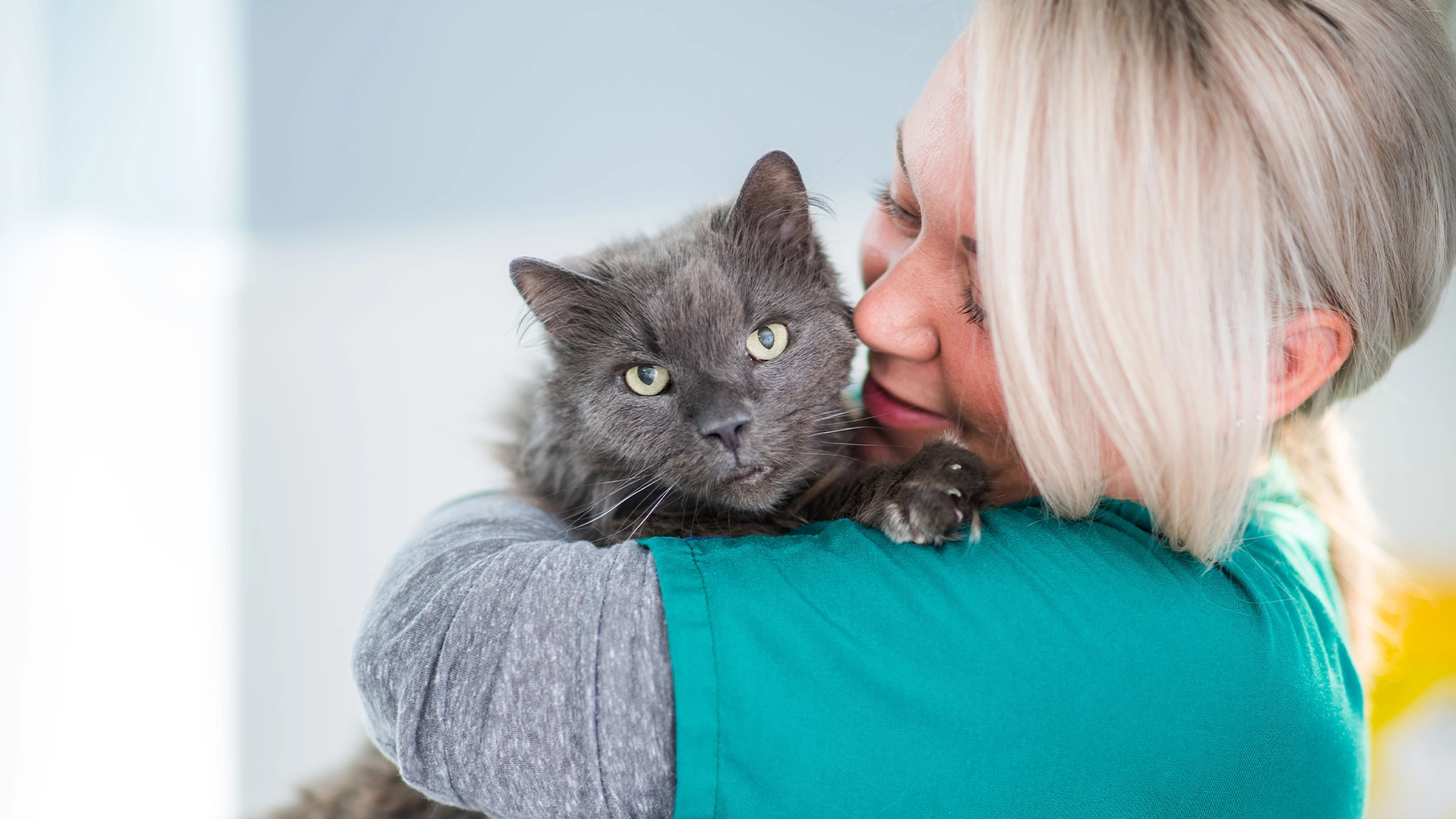 grey cat with staff