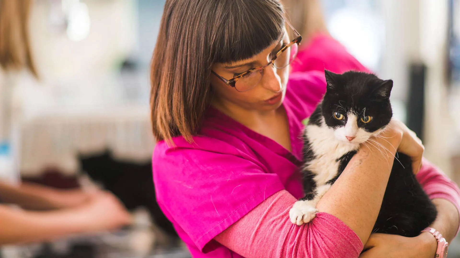 Vet nurse with cat