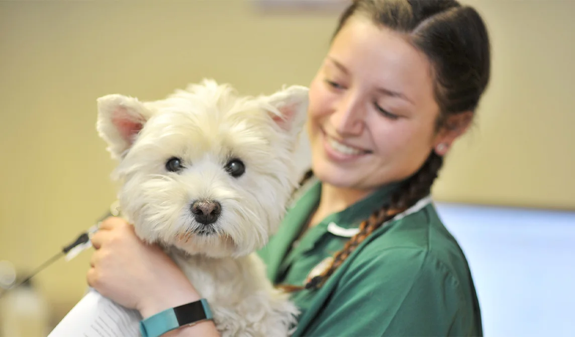 Nurse smiling consultation with white dog