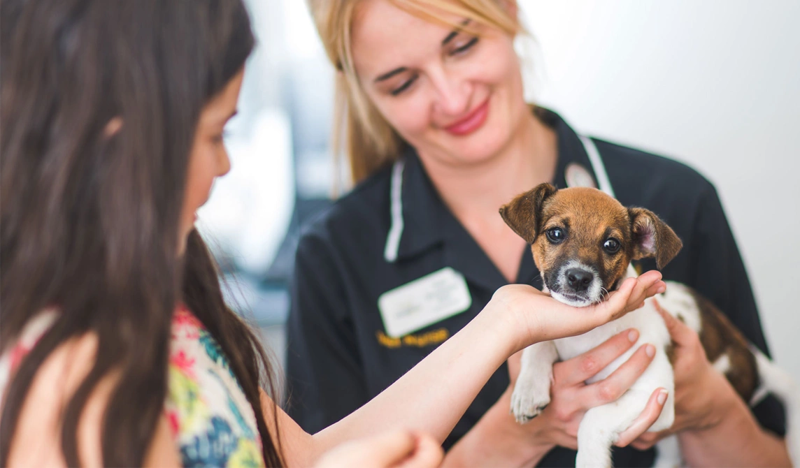 Puppy with owner and vet nurse