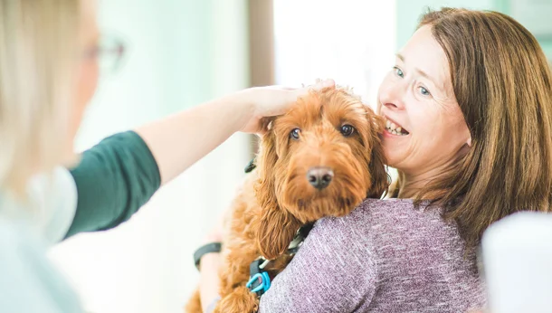 dog with owner and nurse