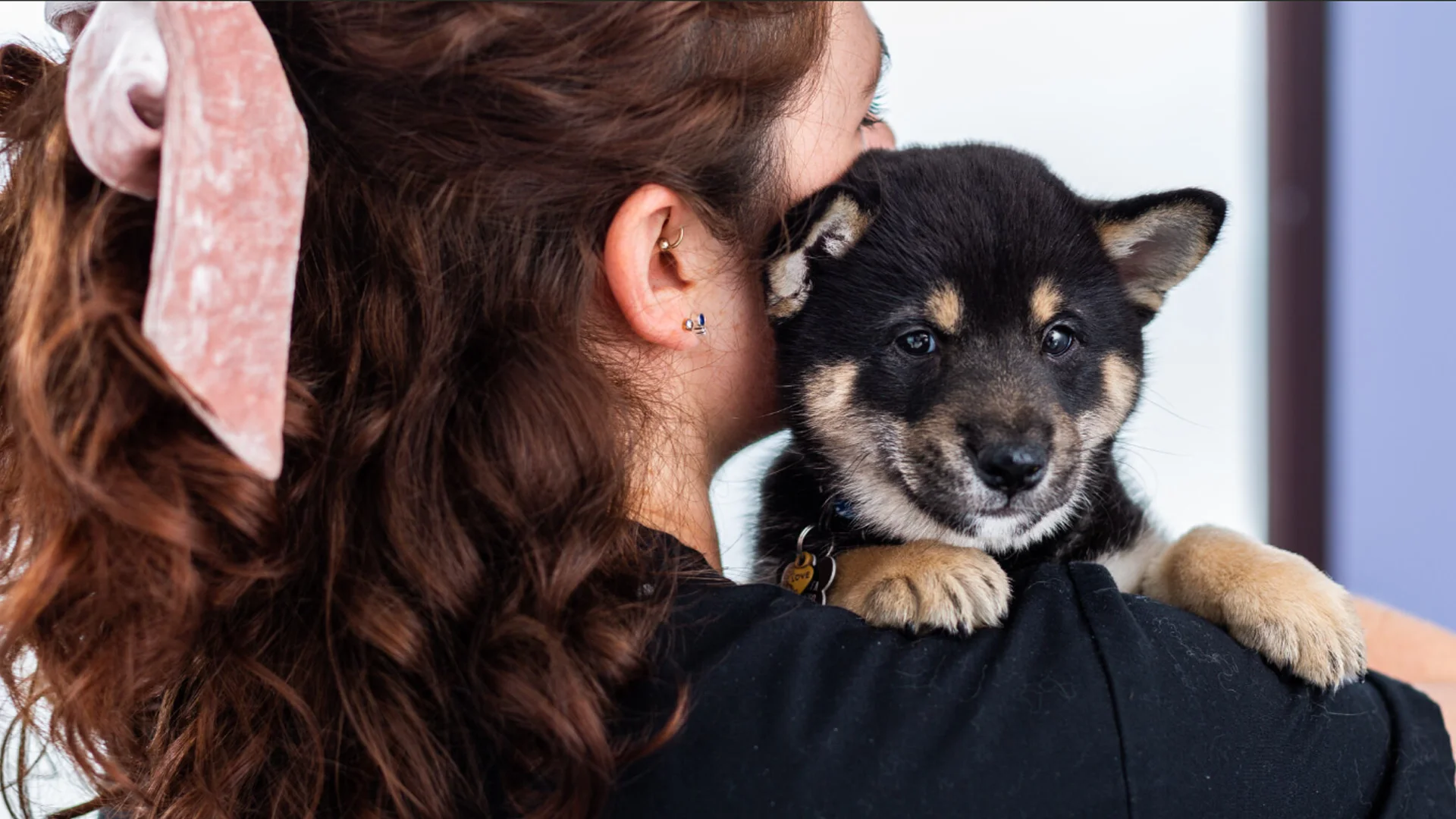 puppy looking over vet's shoulder