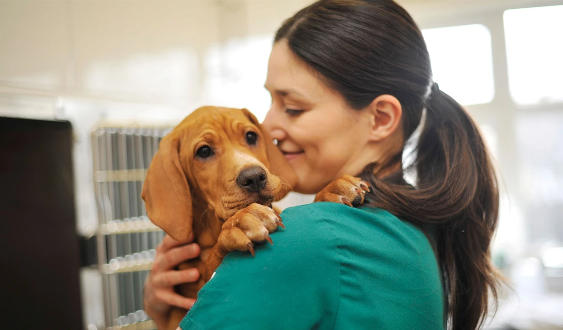 vet nurse holding brown puppy