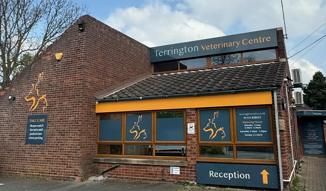 a view of the exterior of our clinic