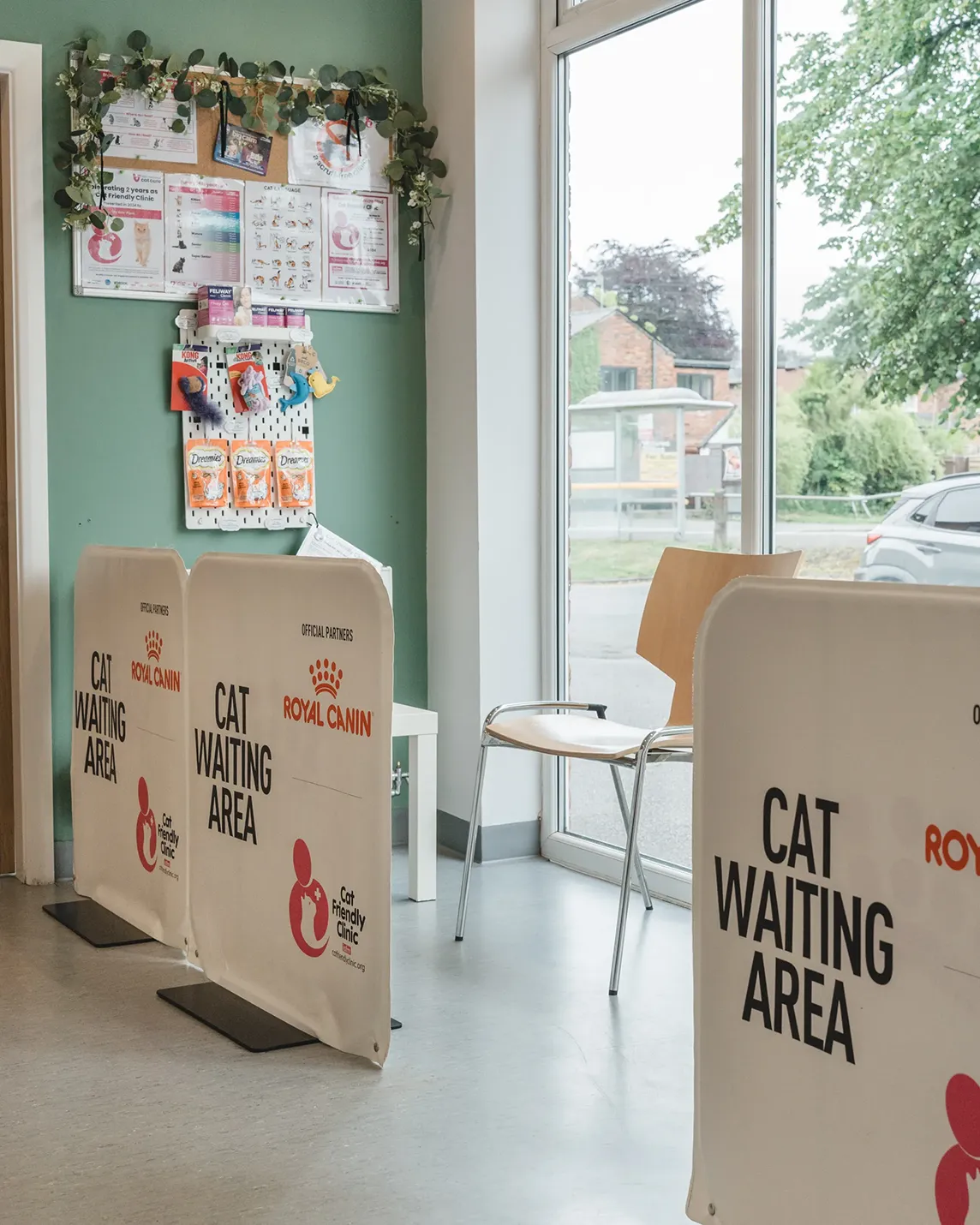 cat waiting area at the vets place