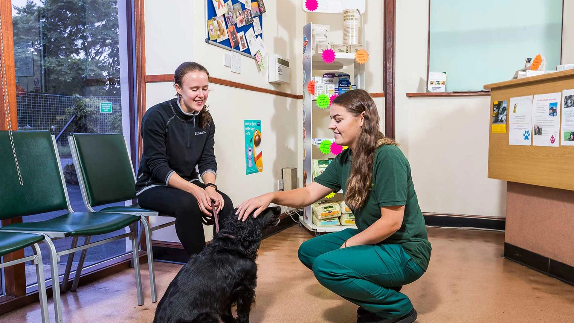 Dog and owner greeted by nurse in reception