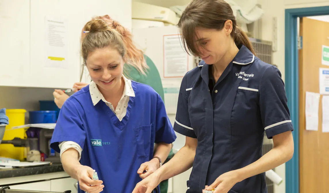 vet and vet nurse
