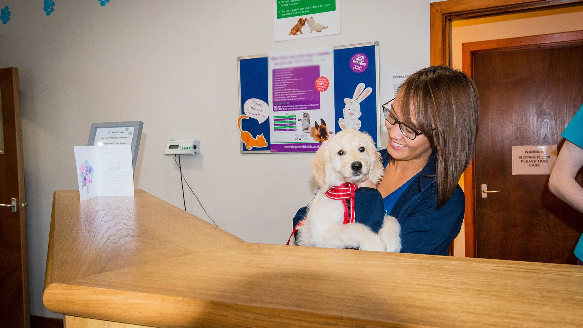 labradoodle puppy at reception desk